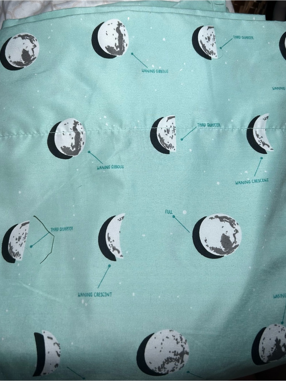 Pillowfort Mint Moon Phase Full Size Sheet Set